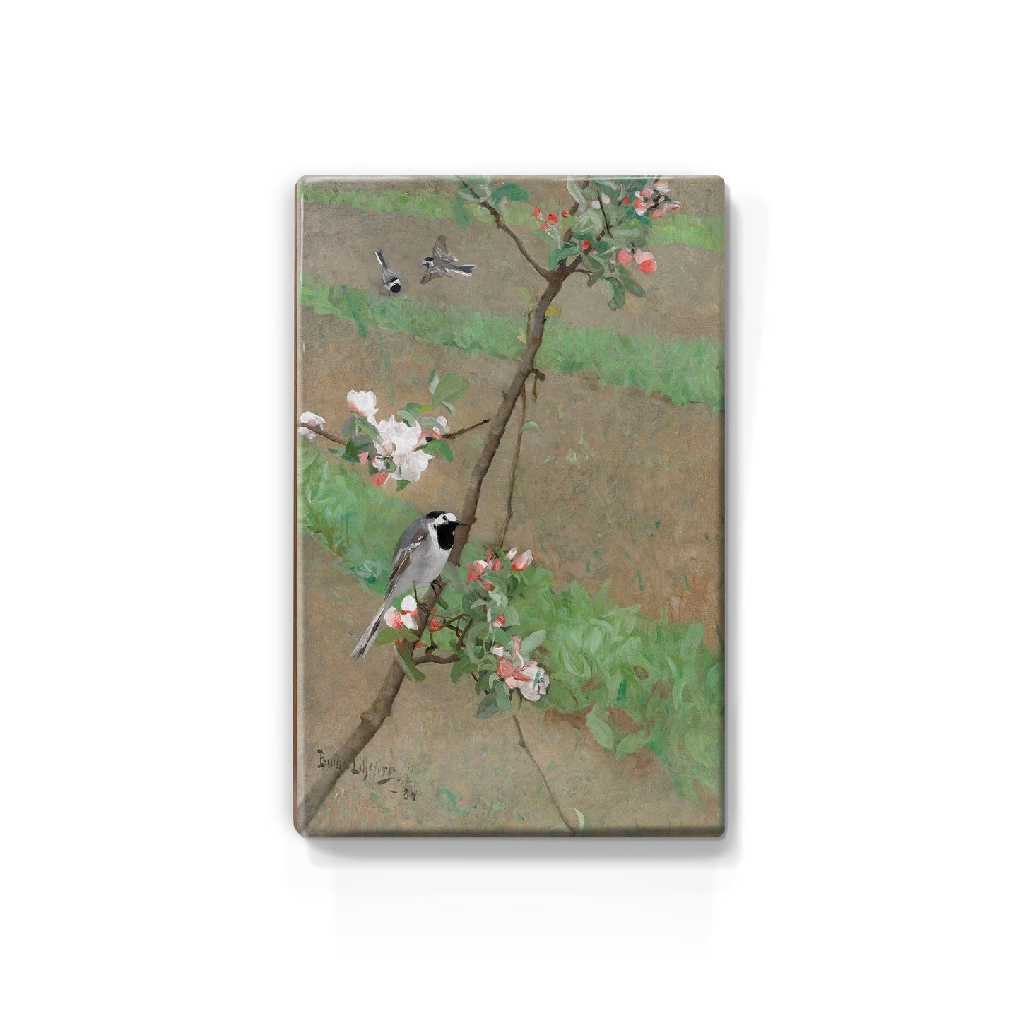 Laqueprint - Witte kwikstaarten - Bruno Liljefors - 19,5 x 30 cm - LP216