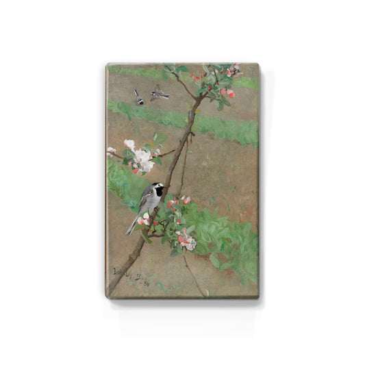 Laqueprint - Witte kwikstaarten - Bruno Liljefors - 19,5 x 30 cm - LP216
