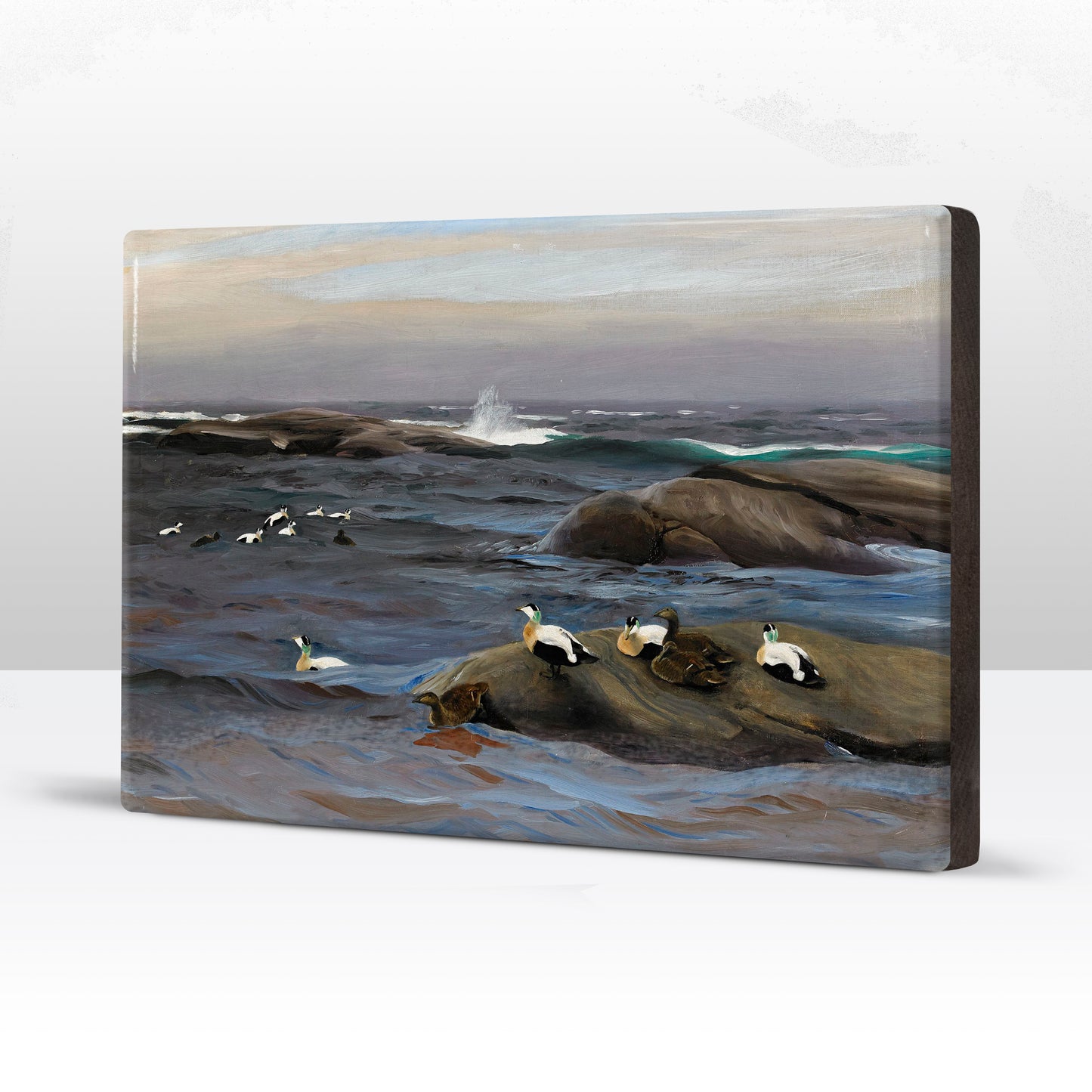 Laqueprint - Eider op rotsen - Bruno Liljefors - 30 x 19,5 cm - LP220