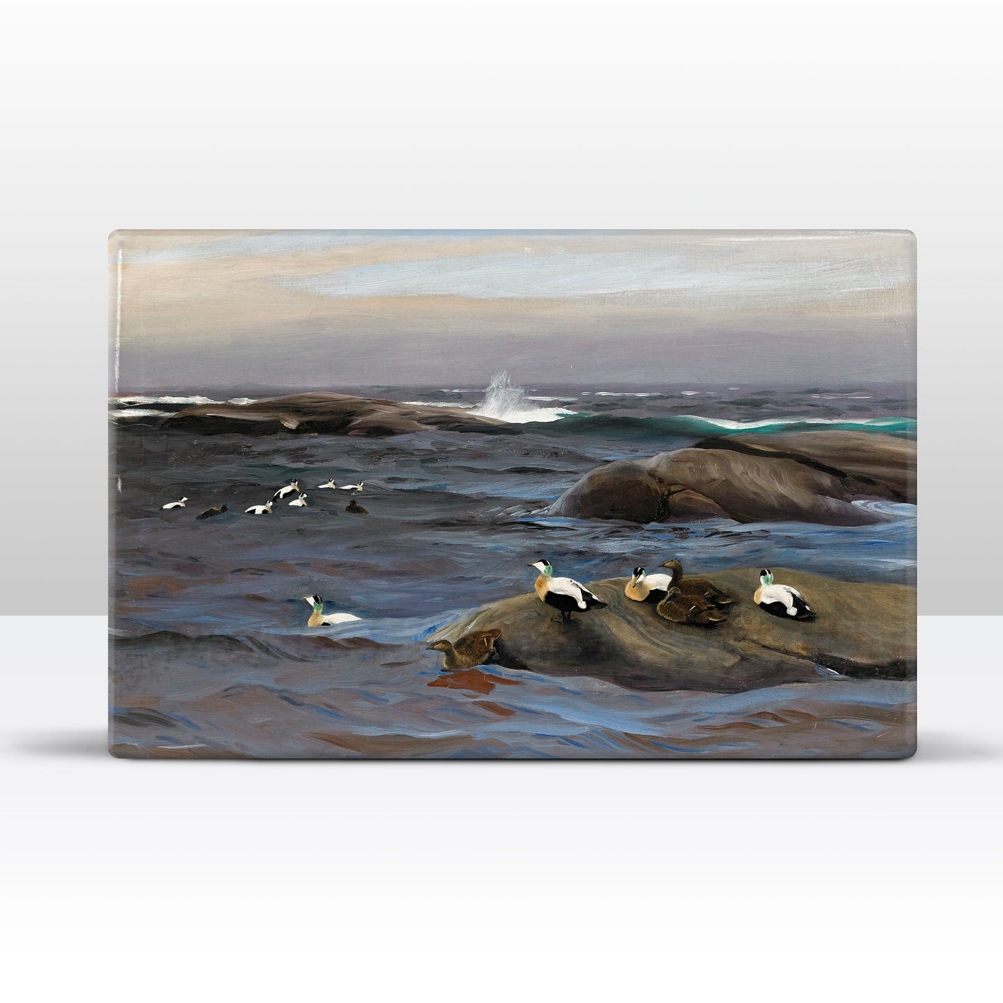 Laqueprint - Eider op rotsen - Bruno Liljefors - 30 x 19,5 cm - LP220