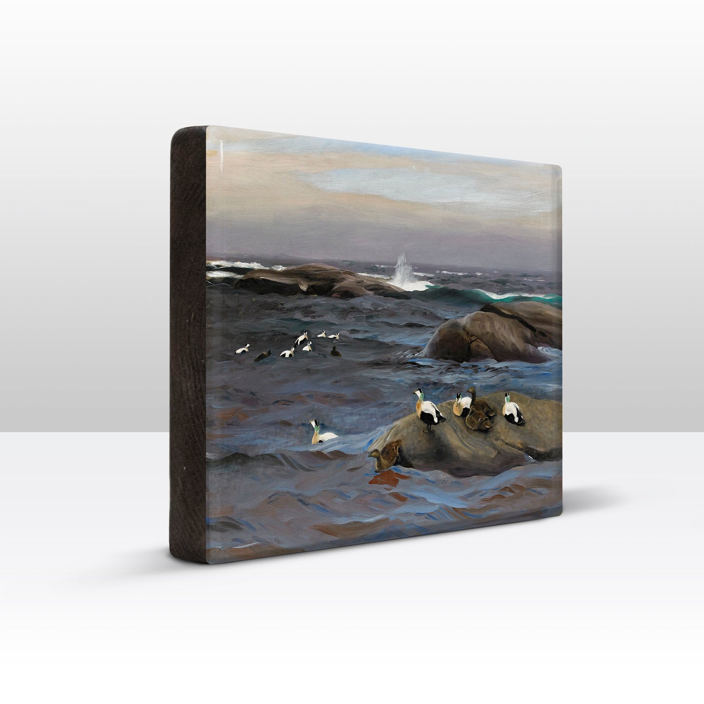 Laqueprint - Eider op rotsen - Bruno Liljefors - 30 x 19,5 cm - LP220