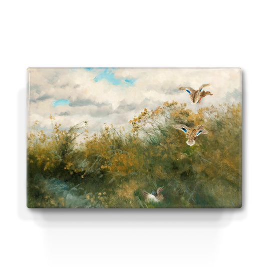 Laqueprint - Wilde Eenden - Bruno Liljefors - 30 x 19,5 cm - LP235