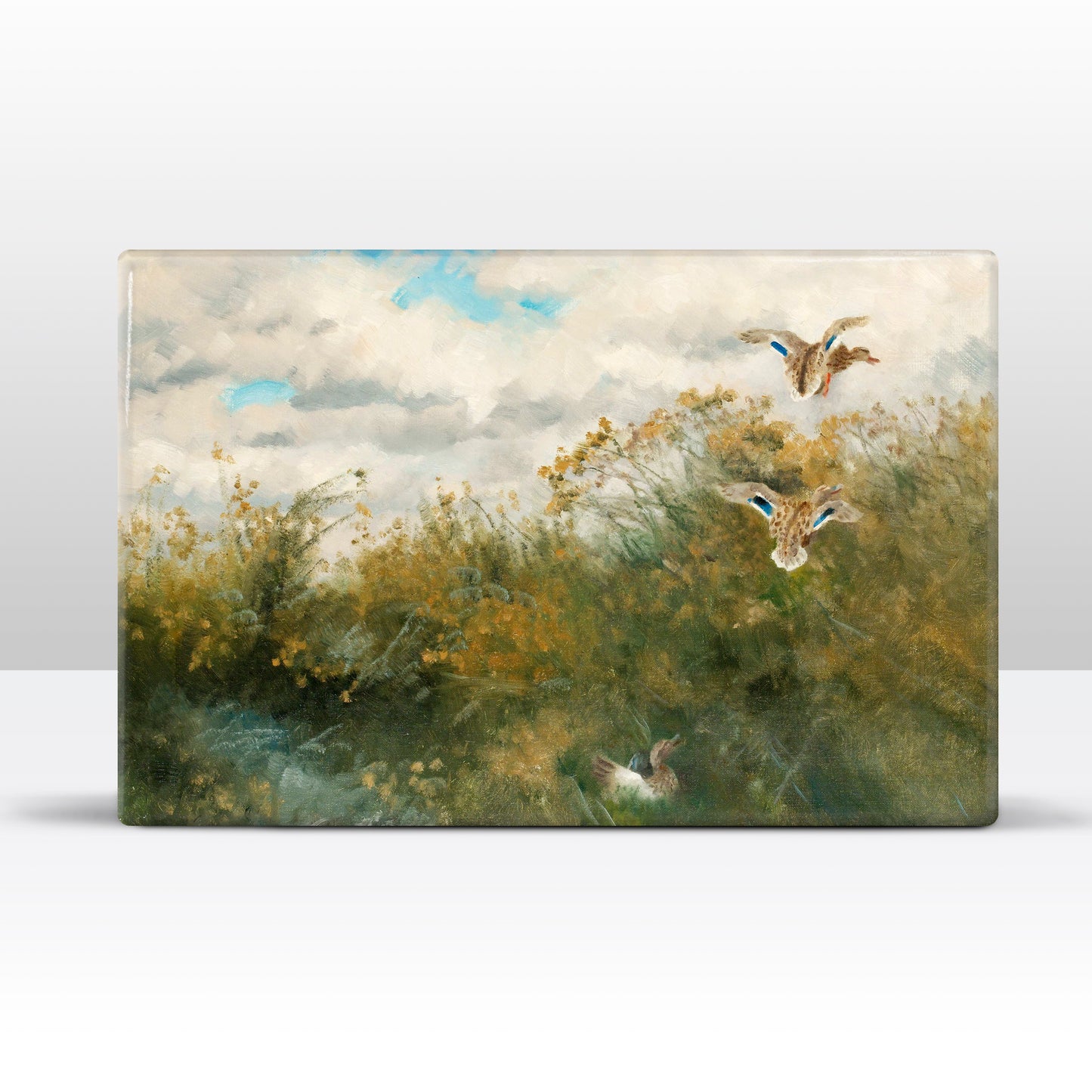 Laqueprint - Wilde Eenden - Bruno Liljefors - 30 x 19,5 cm - LP235
