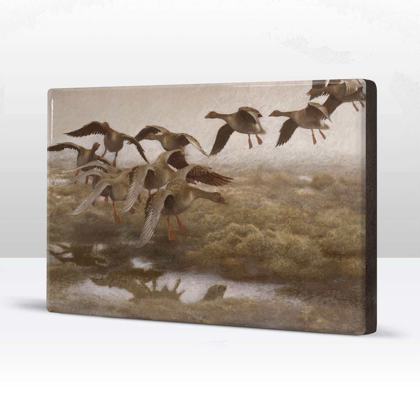 Laqueprint - Wilde ganzen - Bruno Liljefors - 30 x 19,5 cm - LP236