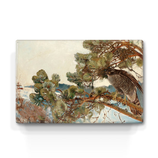 Laqueprint - Havik - Bruno Liljefors - 30 x 19,5 cm - LP242