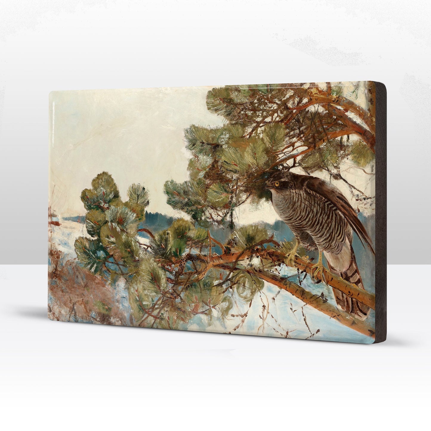 Laqueprint - Havik - Bruno Liljefors - 30 x 19,5 cm - LP242