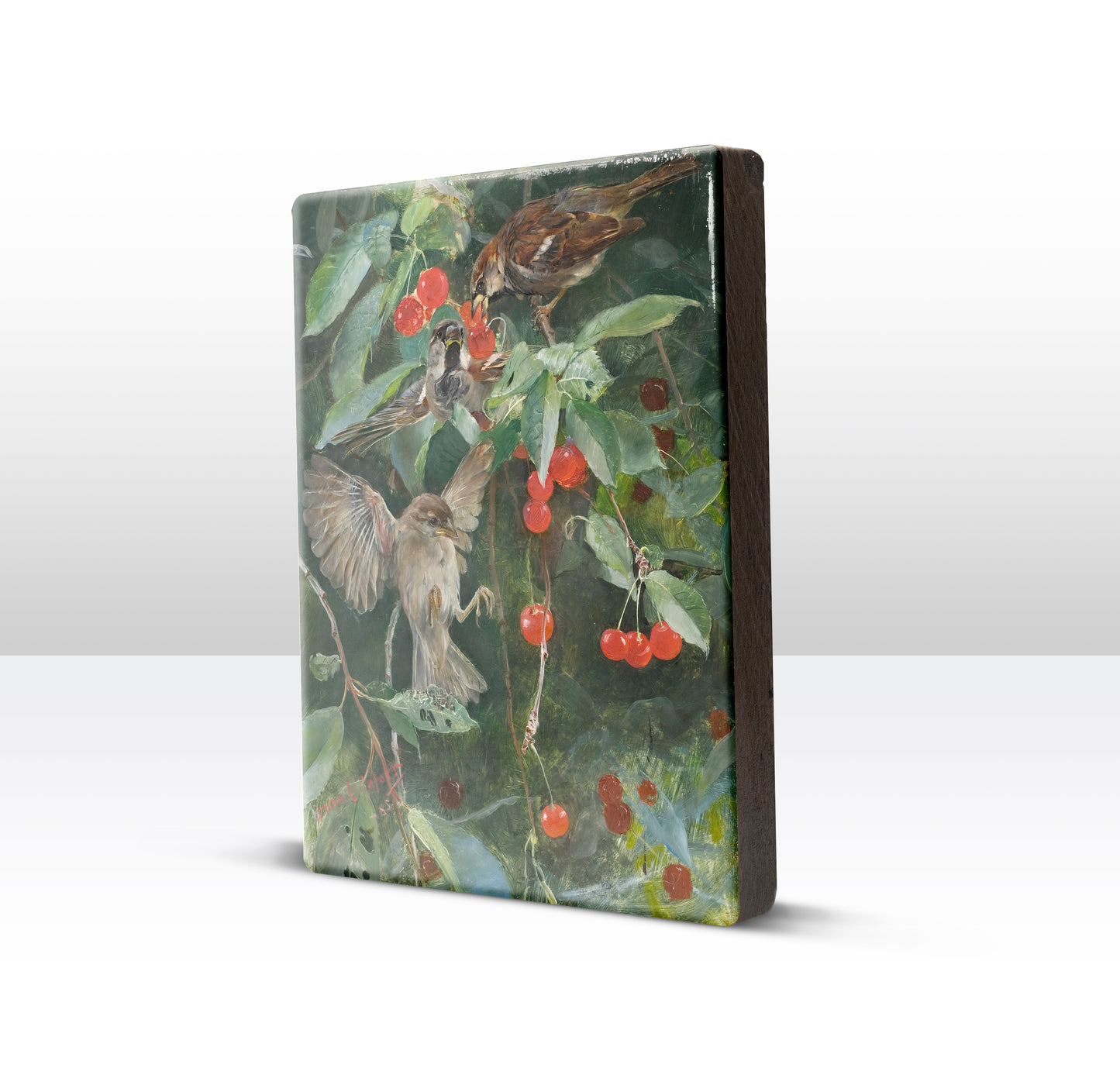Laque print - Sparrows in a cherry tree - Bruno Liljefors - 19.5 x 26 cm - LP251