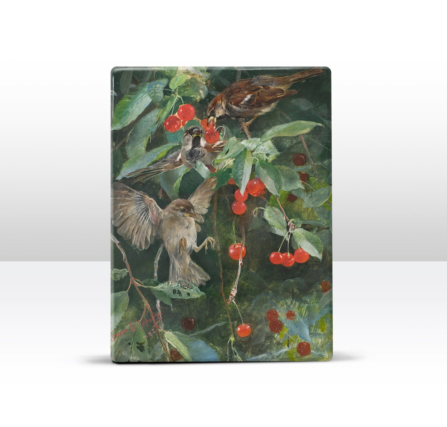 Laque print - Sparrows in a cherry tree - Bruno Liljefors - 19.5 x 26 cm - LP251