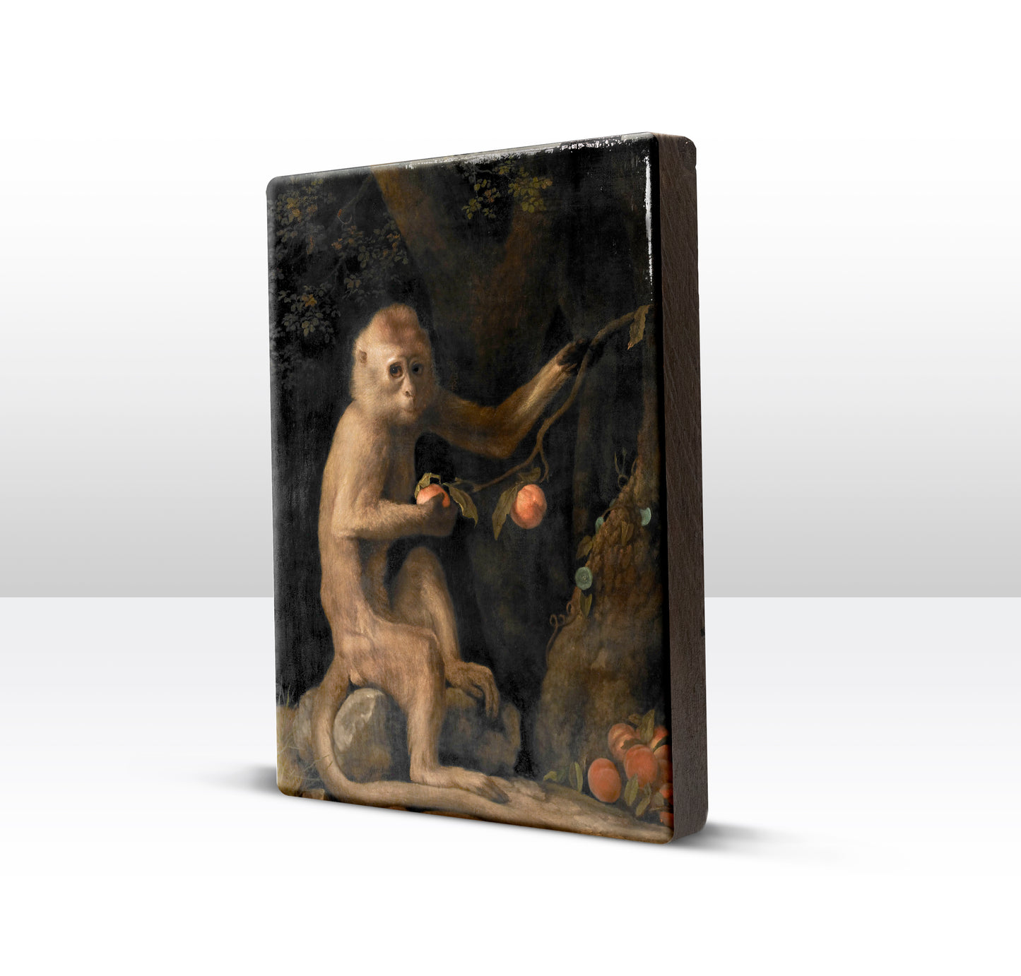 Laqueprint - Aapje - George Stubbs - 19,5 x 26 cm - LP268