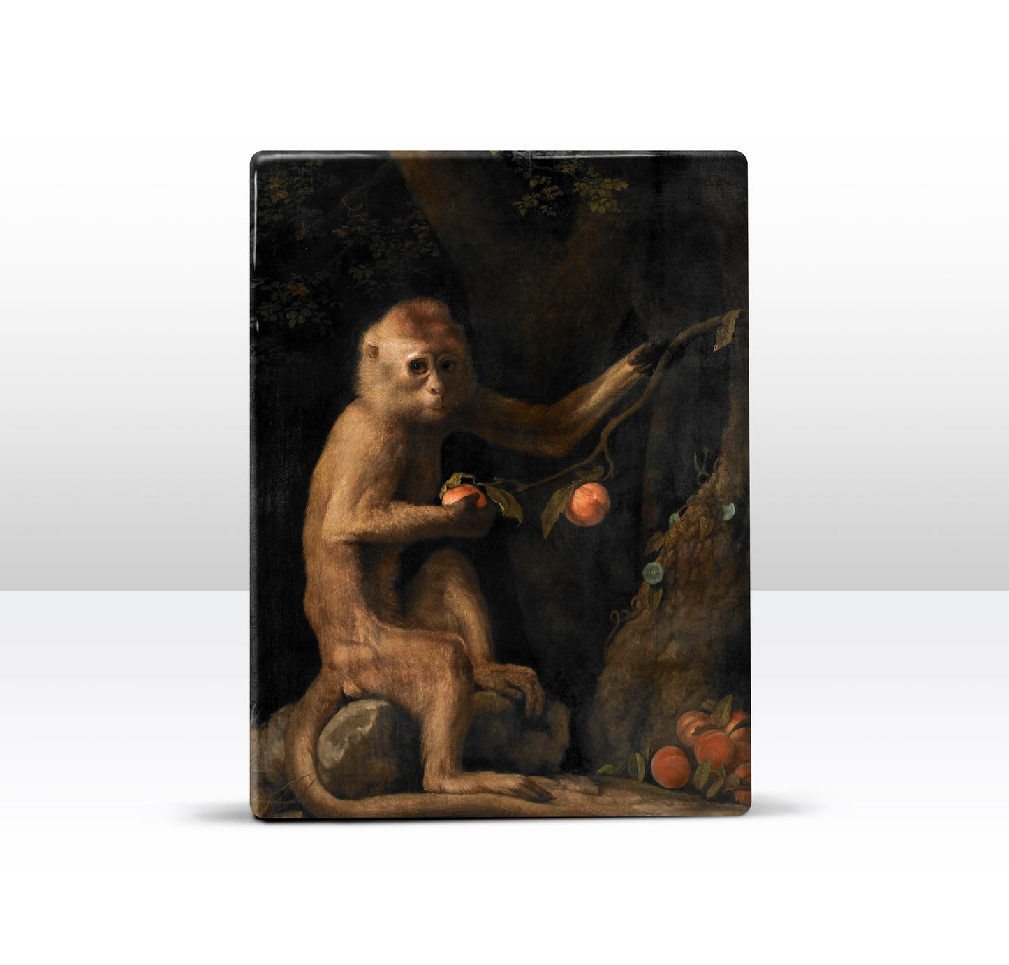 Laqueprint - Aapje - George Stubbs - 19,5 x 26 cm - LP268