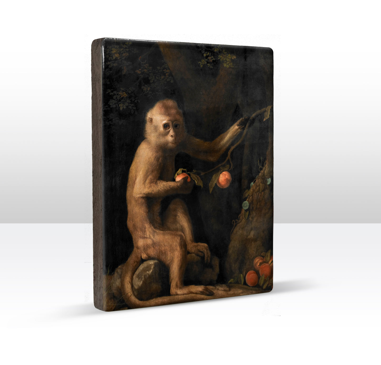 Laqueprint - Aapje - George Stubbs - 19,5 x 26 cm - LP268