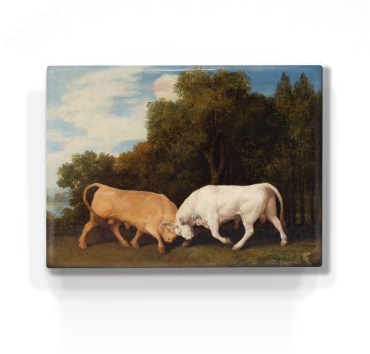 Laqueprint - Vechtende stieren - George Stubbs - 26 x 19,5 cm - LP269