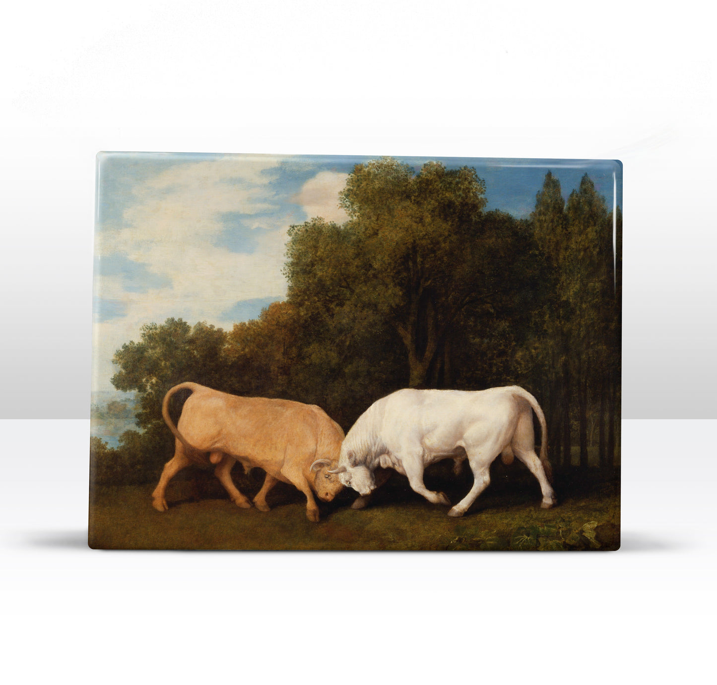 Lackdruck – Kampfstiere – George Stubbs – 26 x 19,5 cm – LP269