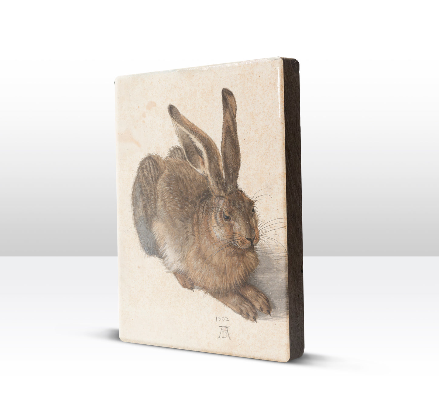 Laque print - Hare - Albrecht Durer - 19.5 x 26 cm - LP281