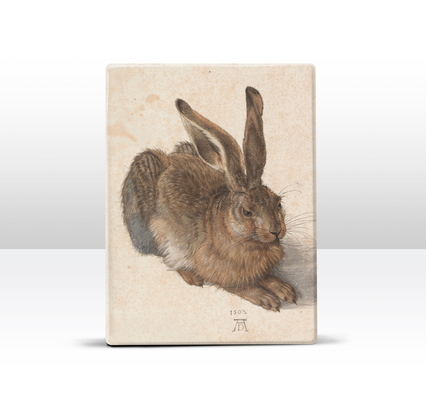 Laque print - Hare - Albrecht Durer - 19.5 x 26 cm - LP281