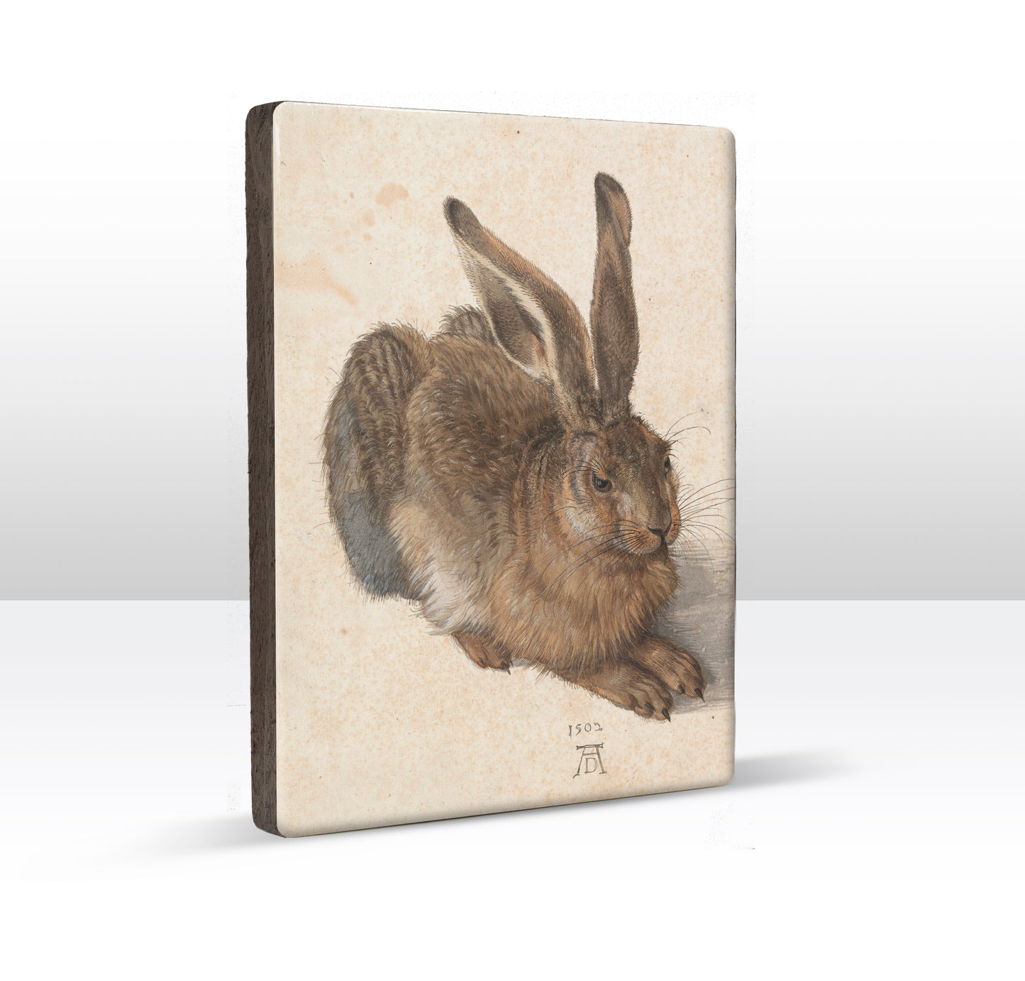 Laque print - Hare - Albrecht Durer - 19.5 x 26 cm - LP281