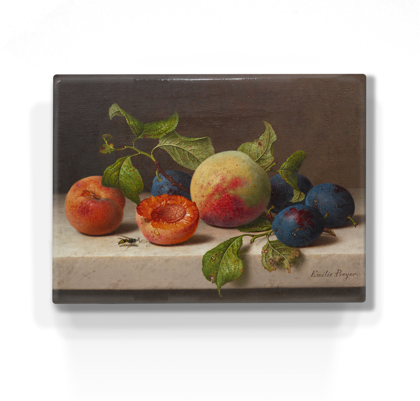 Laque print - Still life with fruit and a wasp - Emilie Preyer - 26 x 19.5 cm - LP099