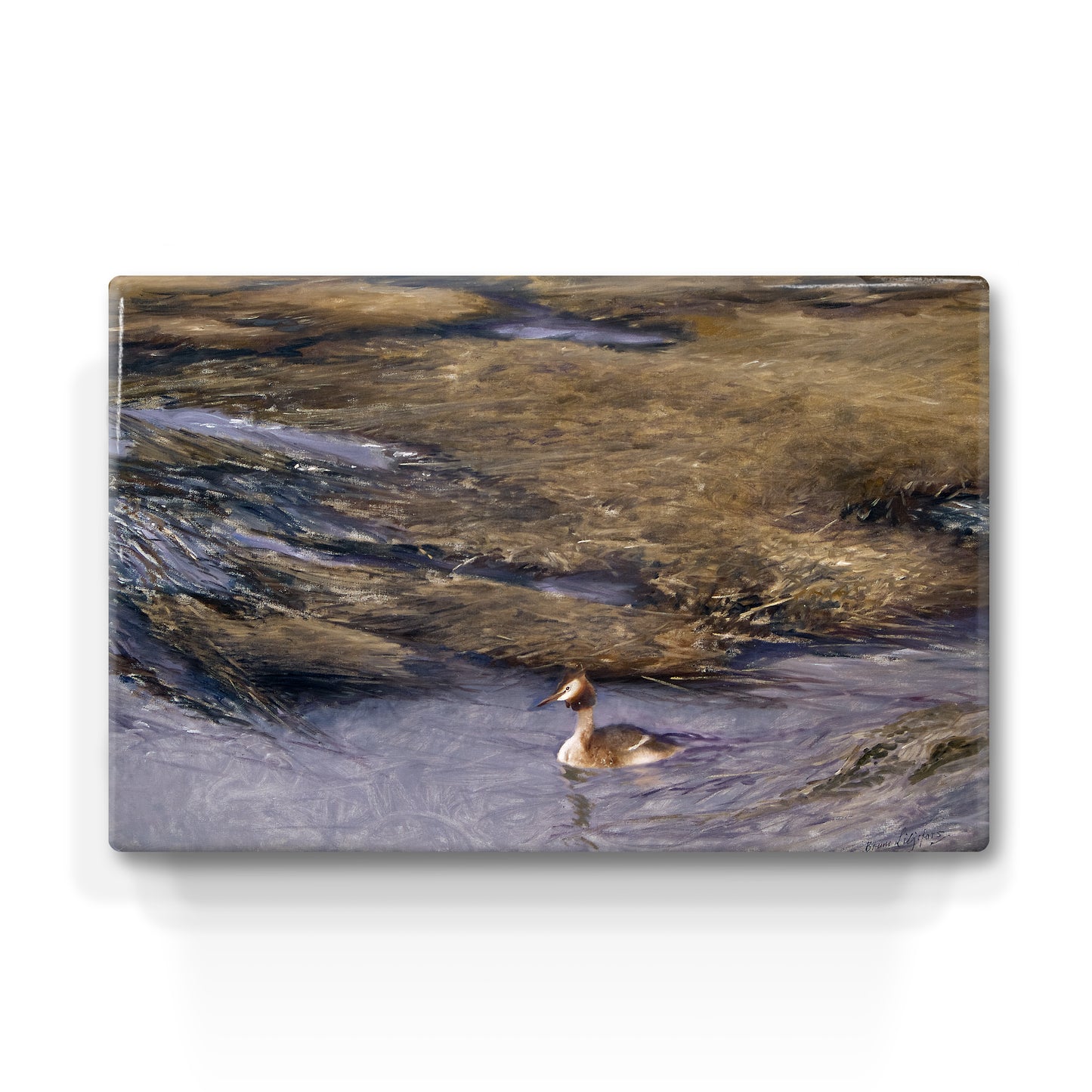 Laque print - Great Crested Grebe - Bruno Liljefors - 30 x 19.5 cm - LP221