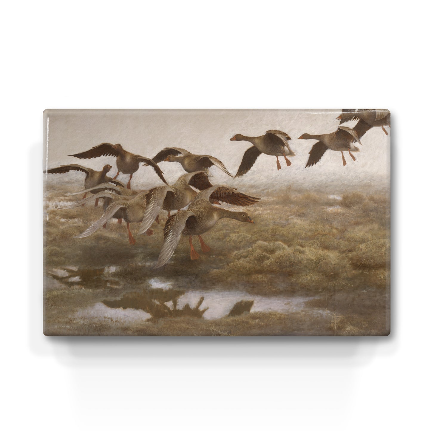 Lacquer print - Wild geese - Bruno Liljefors - 30 x 19.5 cm - LP236