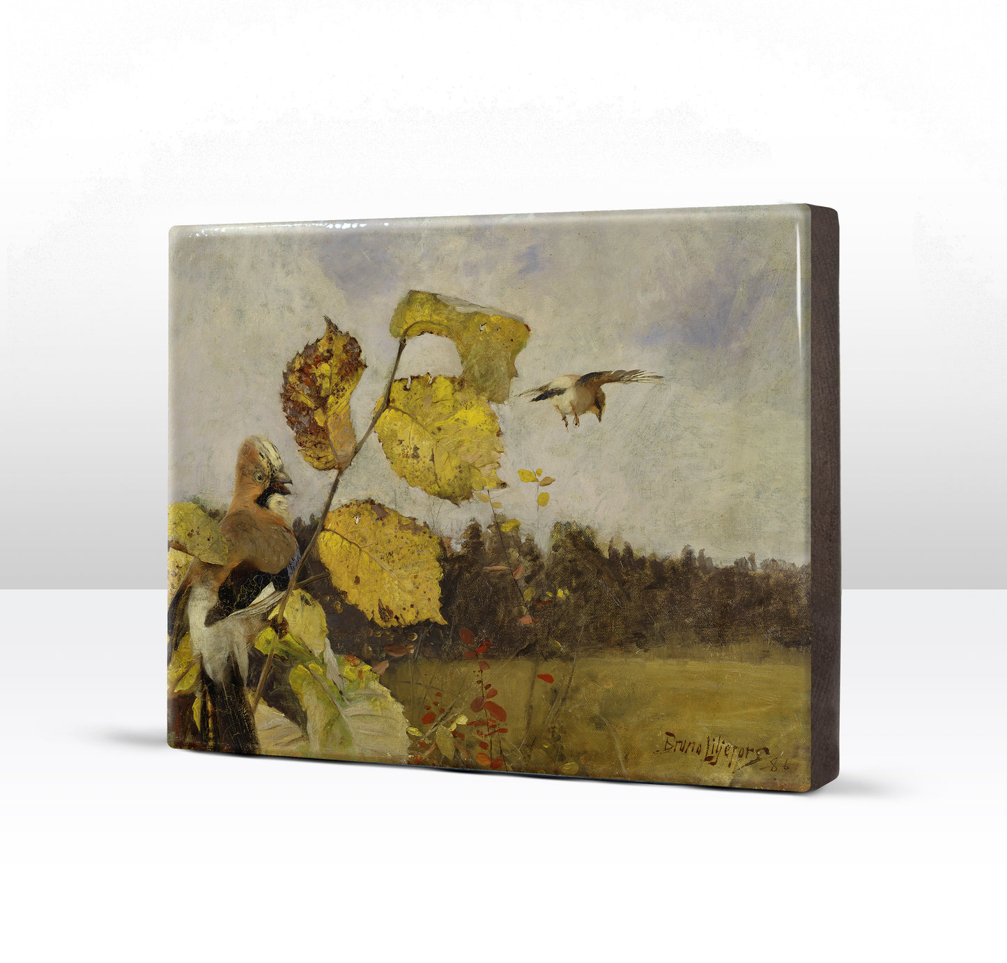 Laqueprint - Vlaamse gaaien - Bruno Liljefors - 26 x 19,5 cm - LP255