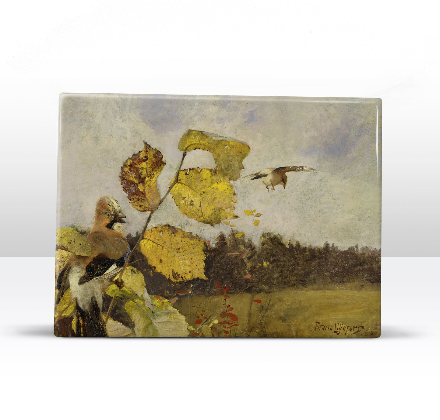 Laqueprint - Vlaamse gaaien - Bruno Liljefors - 26 x 19,5 cm - LP255