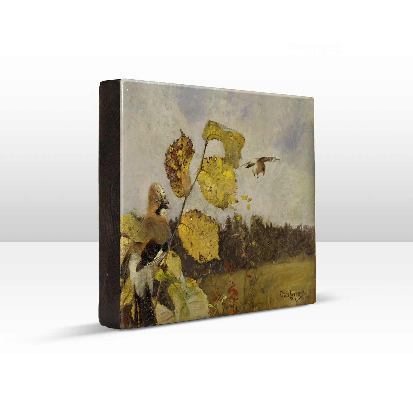 Laqueprint - Vlaamse gaaien - Bruno Liljefors - 26 x 19,5 cm - LP255