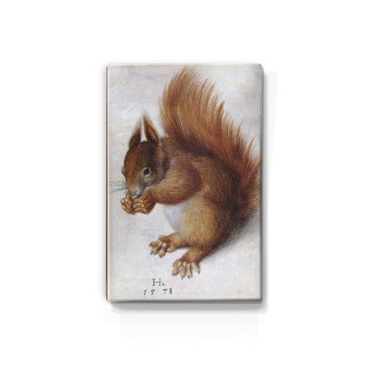 Lackdruck - Rotes Eichhörnchen - Hans Hoffmann - 19,5 x 30 cm - LP266