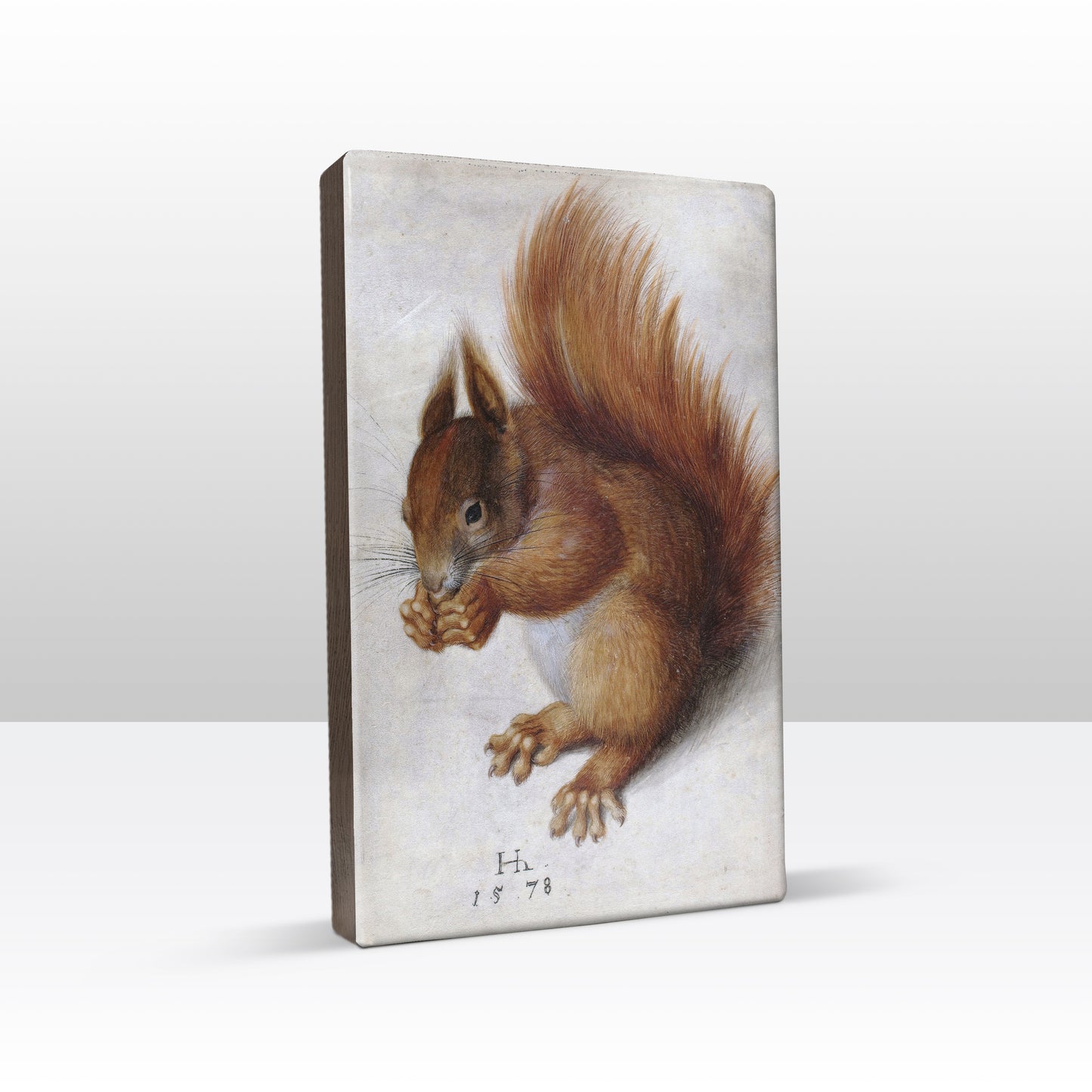 Laque print - Red squirrel - Hans Hoffmann - 19.5 x 30 cm - LP266