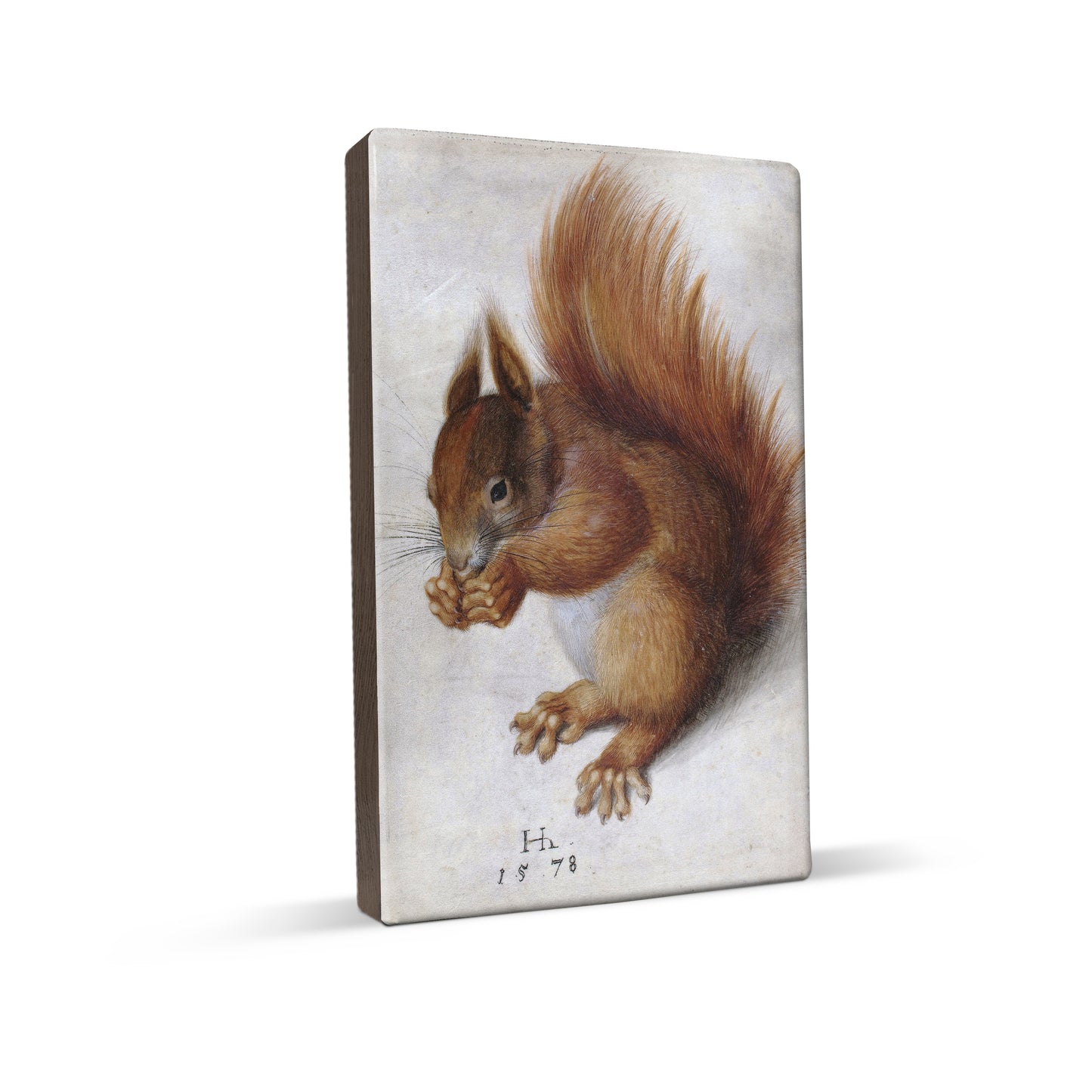Laque print - Red squirrel - Hans Hoffmann - 19.5 x 30 cm - LP266