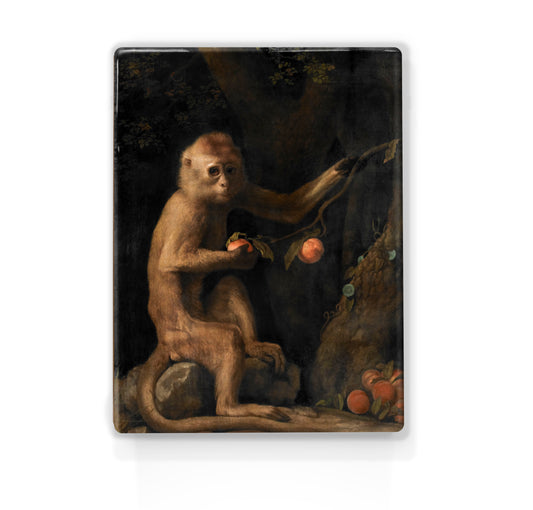 Laque print - Monkey - George Stubbs - 19.5 x 26 cm - LP268