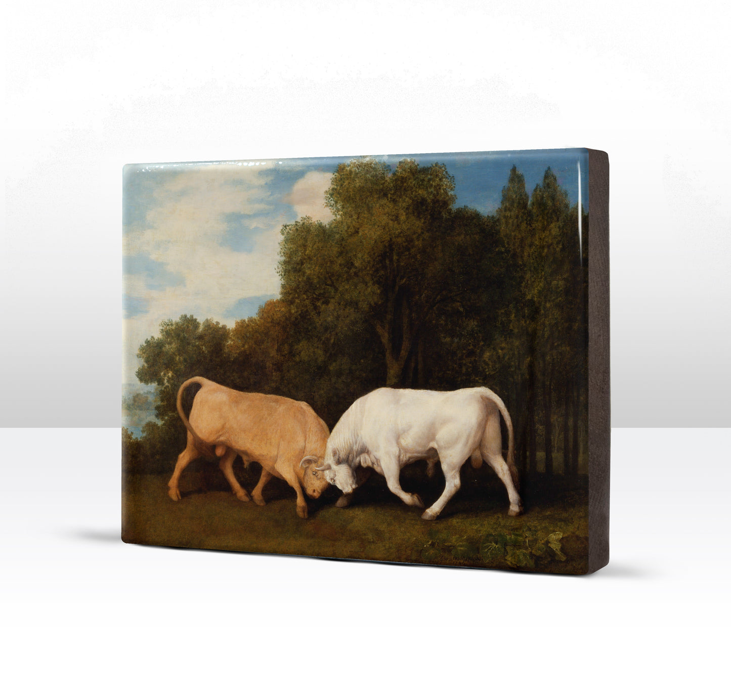 Laque print - Fighting bulls - George Stubbs - 26 x 19.5 cm - LP269
