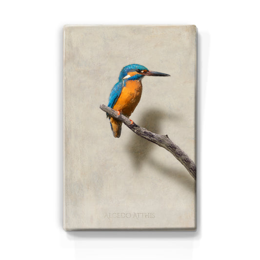 Laque print - Kingfisher - Hand lacquered - 19.5 x 30 cm - LP432